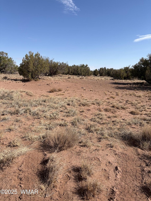 8580E Lawson Ln, Snowflake, AZ 85937 - photo 6