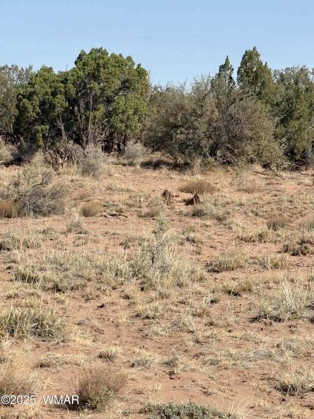 8580E Lawson Ln, Snowflake, AZ 85937 - photo 1