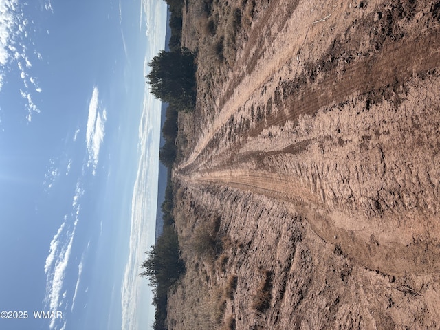 8580E Lawson Ln, Snowflake, AZ 85937 - photo 5