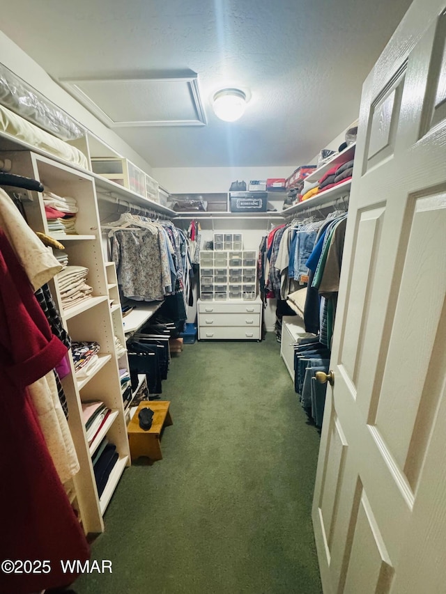 6843 Lucky Ln, Show Low, AZ 85901 - spacious closet with attic access and carpet