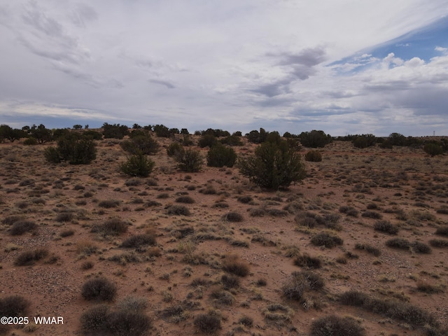 5489 White Antelope Rd, Snowflake, AZ 85937 - photo 14