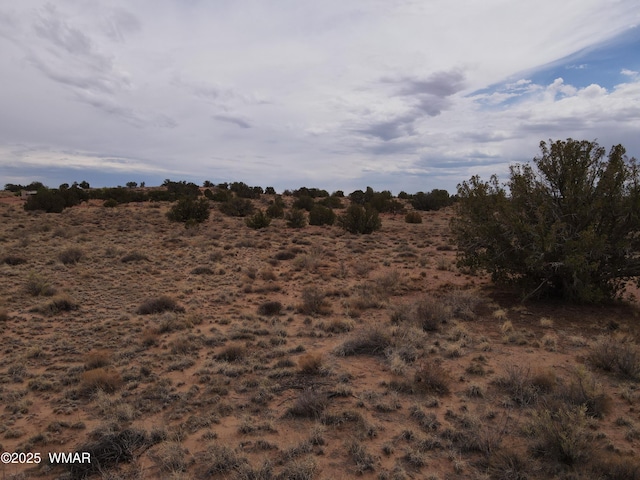 5489 White Antelope Rd, Snowflake, AZ 85937 - photo 13
