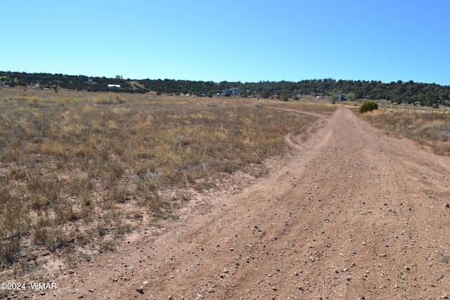 058P Bar Ditch Rd, Taylor AZ, 85939 land for sale