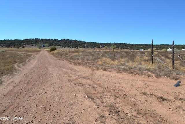 Listing photo 2 for 058P Bar Ditch Rd, Taylor AZ 85939