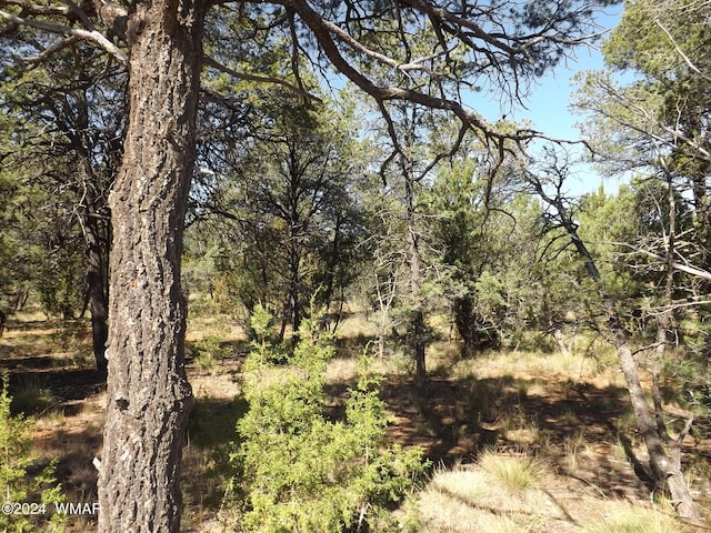 Listing photo 2 for 1554 Mainline Rd, Heber AZ 85928