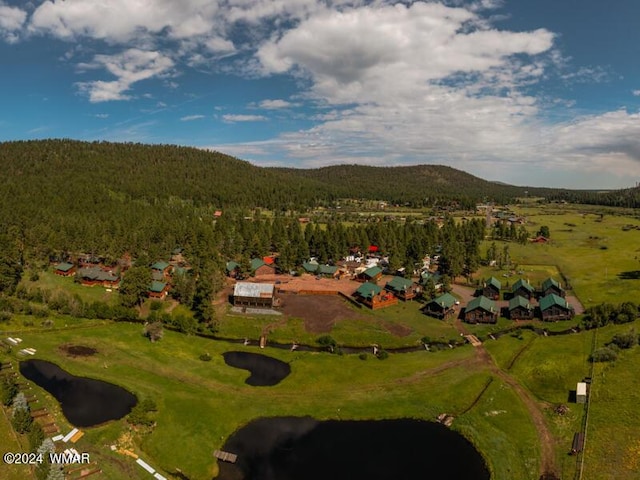 birds eye view of property featuring a view of trees, a water and mountain view, and a residential view