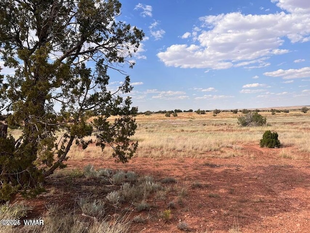 5184 Coyote Trl, Heber, AZ 85928 - photo 29