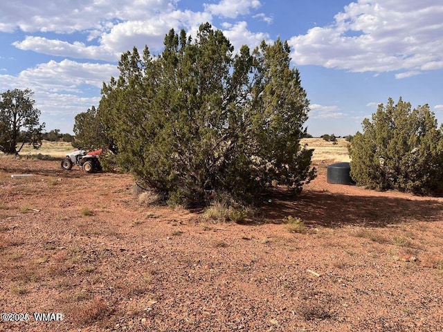 5184 Coyote Trl, Heber, AZ 85928 - photo 8