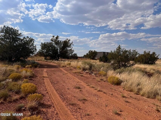 5184 Coyote Trl, Heber, AZ 85928 - photo 26