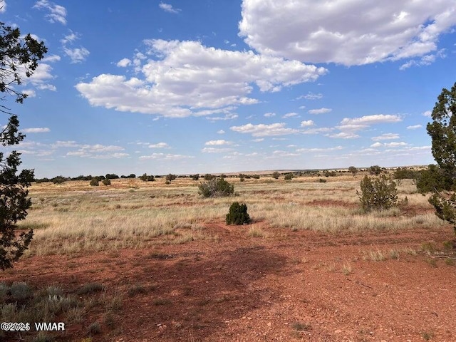 5184 Coyote Trl, Heber, AZ 85928 - photo 31