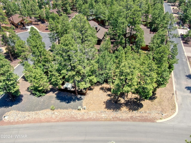 Listing photo 3 for 5702 Hidden Oak Dr, Pinetop AZ 85935