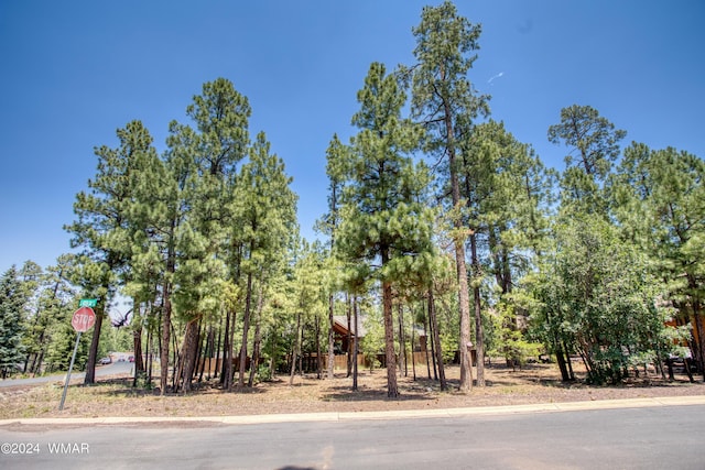 5702 Hidden Oak Dr, Pinetop AZ, 85935 land for sale