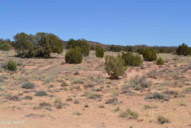 TBD Clyde Rd, Snowflake, AZ 85937
