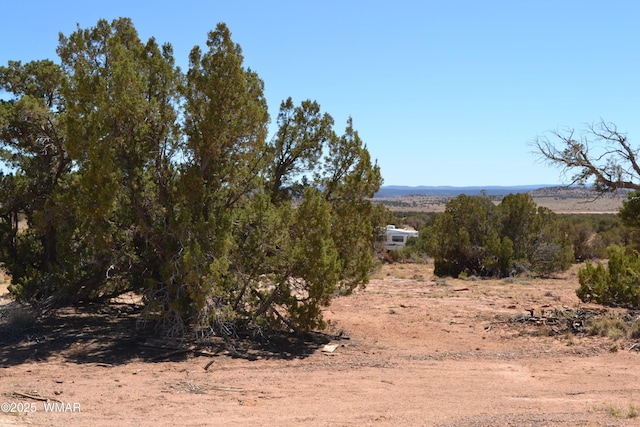 TBD Clyde Rd, Snowflake, AZ 85937