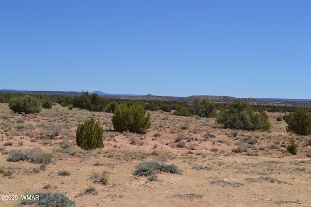 TBD Clyde Rd, Snowflake, AZ 85937