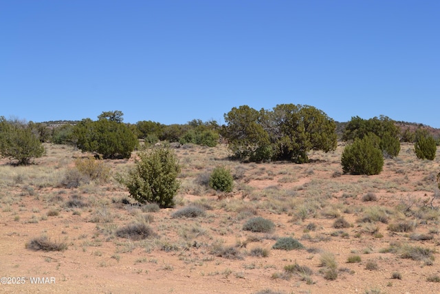 TBD Clyde Rd, Snowflake, AZ 85937
