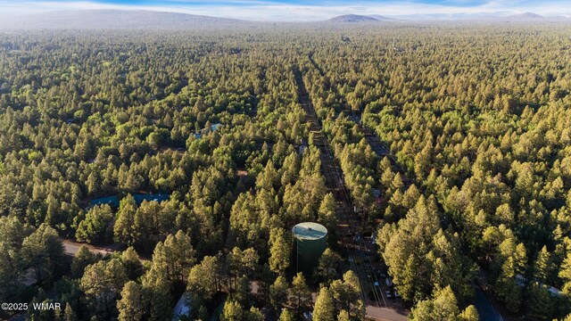 5468 Apache Trl, Pinetop, AZ 85935 - photo 84