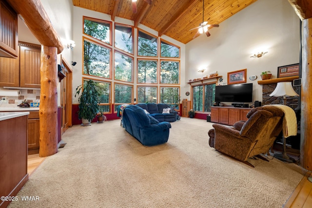 5468 Apache Trl, Pinetop, AZ 85935 - photo 39