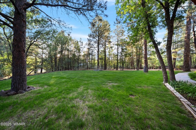 5468 Apache Trl, Pinetop, AZ 85935 - photo 29