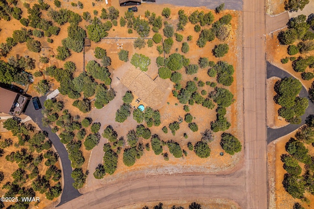 2796 Chandelle Ln, Overgaard, AZ 85933 - aerial view of sparsely populated area