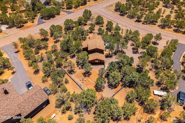 2796 Chandelle Ln, Overgaard, AZ 85933 - bird's eye view