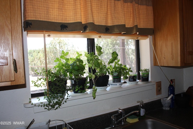 1890 Coyote Pl, Show Low, AZ 85901 - kitchen view of a sink