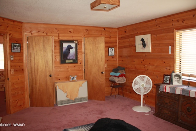 1890 Coyote Pl, Show Low, AZ 85901 - living area with wooden walls and carpet flooring