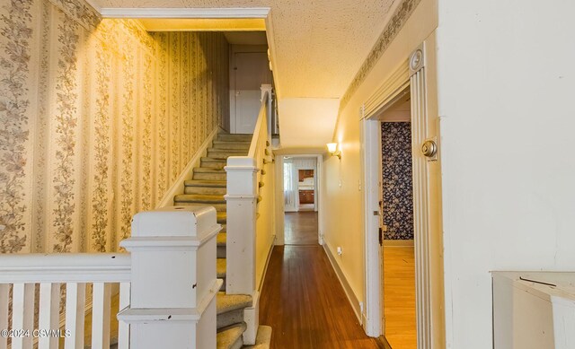133 Bloom St, Danville, PA 17821 - photo 31