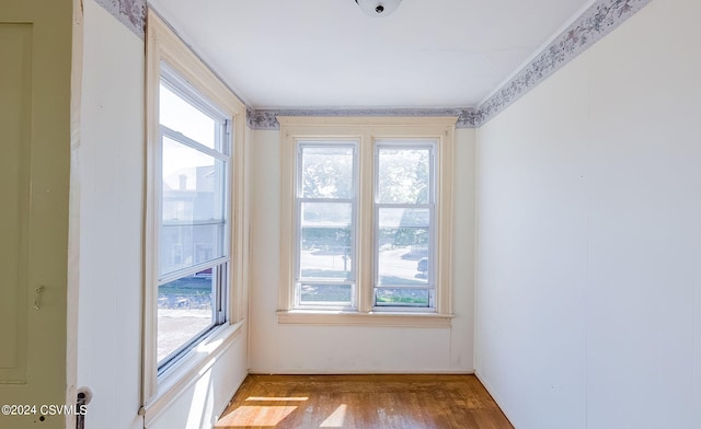 empty room with light hardwood / wood-style flooring and a wealth of natural light