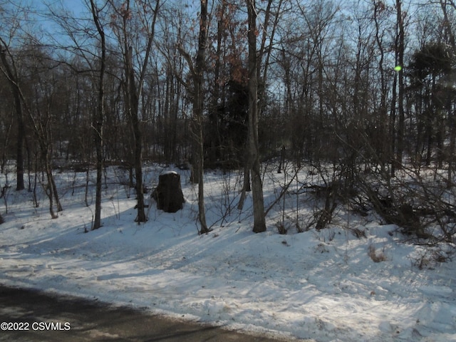 LOT2 Church Rd, Middleburg PA, 17842 land for sale