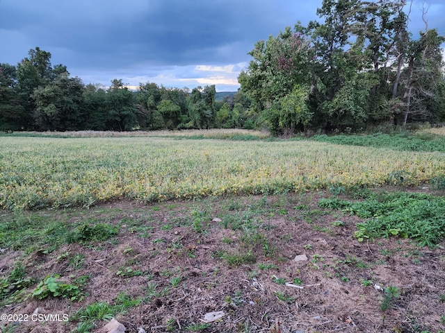 LOT8 Mountain Rd, Paxinos, PA 17860