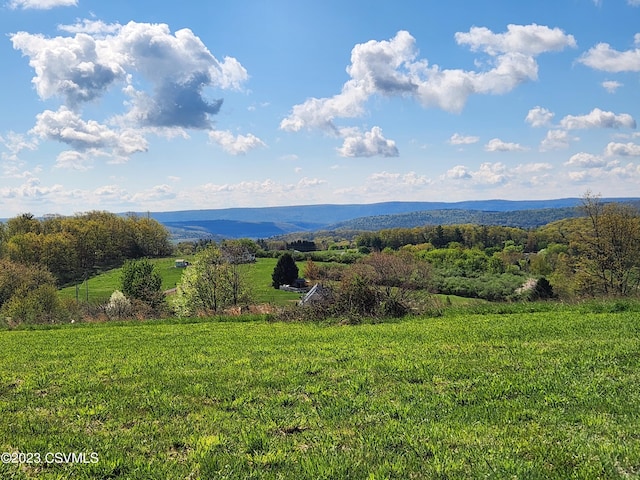 213 E Piper Ln, Benton PA, 17814 land for sale