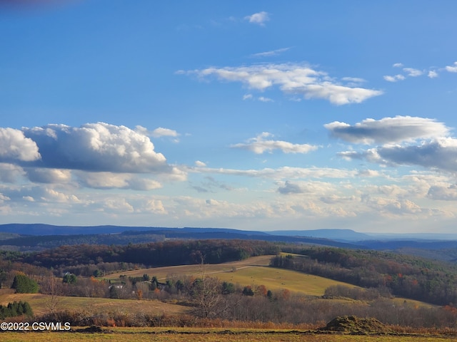 550 Ridge Rd, Benton PA, 17814 land for sale