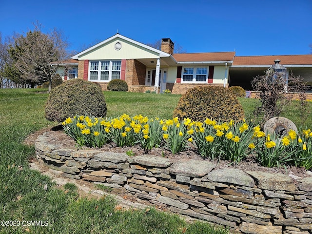 ranch-style house with a front yard