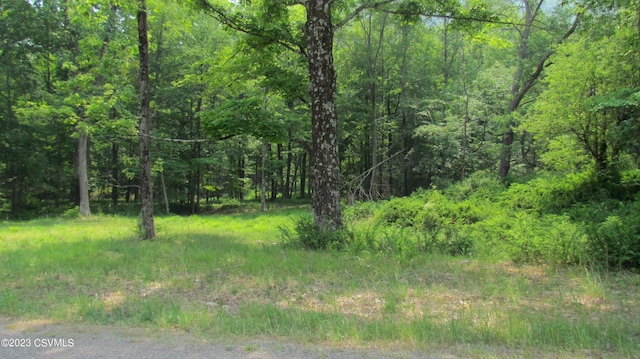 Listing photo 2 for LOT4 Elk Grove Rd, Benton PA 17814