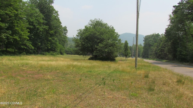 LOT4 Elk Grove Rd, Benton PA, 17814 land for sale