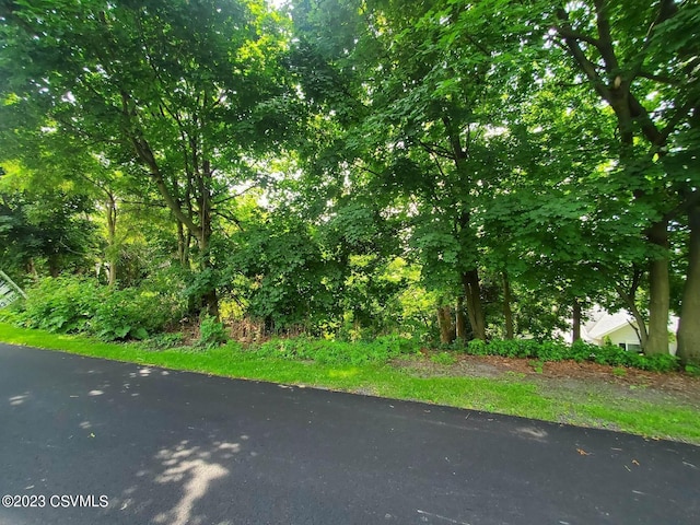 E Clermont St, Marion Heights PA, 17832 land for sale