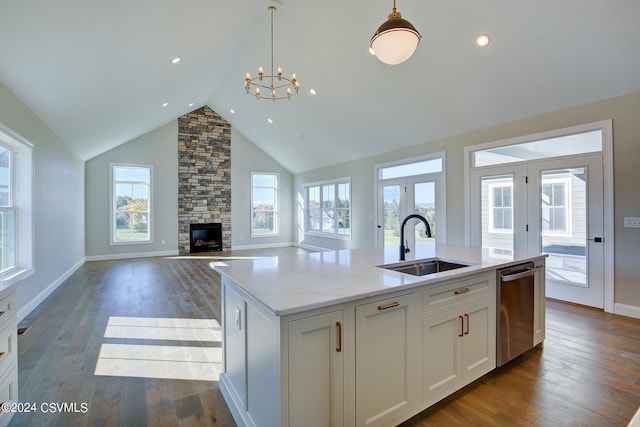 kitchen with dark hardwood / wood-style floors, stainless steel dishwasher, sink, and a wealth of natural light