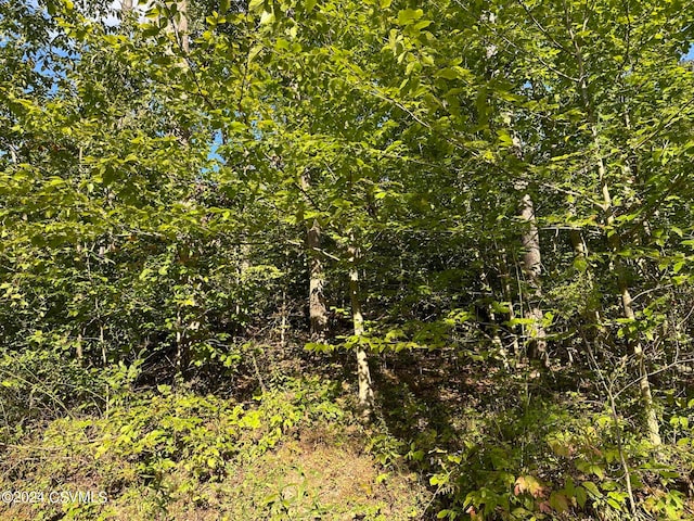 Bowen Ln, Turbotville PA, 17772 land for sale