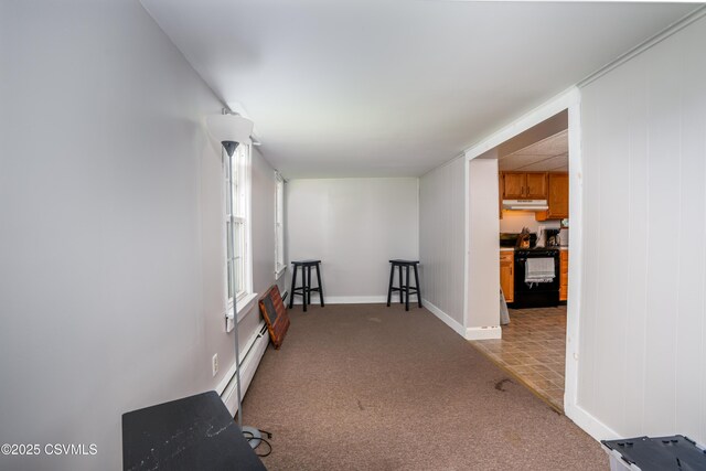 1243 Upper Mulberry St, Danville, PA 17821 - corridor featuring carpet flooring, baseboards, and baseboard heating