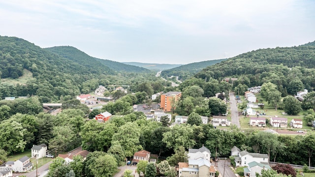 1243 Upper Mulberry St, Danville, PA 17821 - aerial view of a forest and a mountainous background