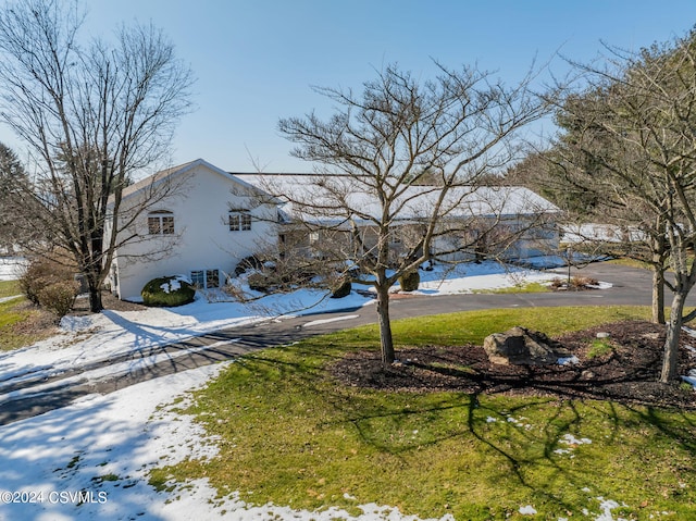 view of yard covered in snow