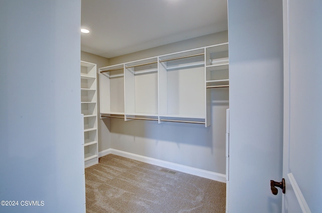 spacious closet with carpet