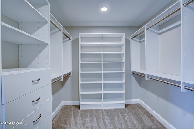 walk in closet with carpet floors