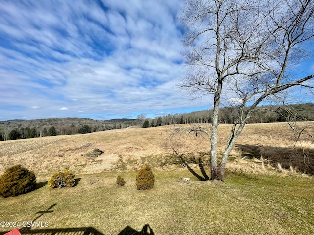 263 Bonnieville Rd, Stillwater, PA 17878 - view of yard featuring a view of rural / pastoral area