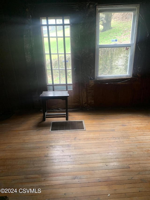 spare room with a healthy amount of sunlight and light wood-type flooring