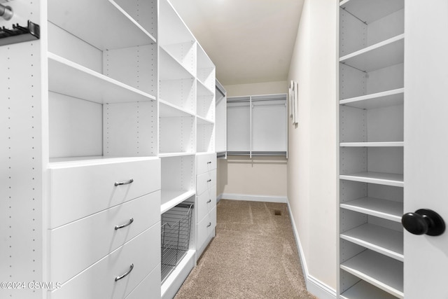 walk in closet with light carpet