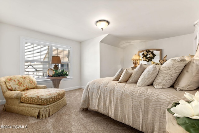 bedroom with light colored carpet