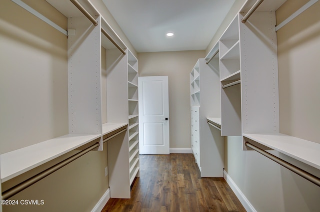 walk in closet featuring dark hardwood / wood-style floors