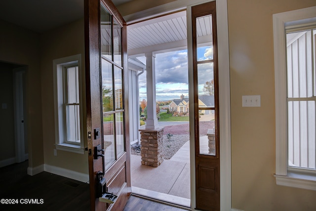 foyer with dark hardwood / wood-style floors